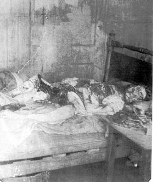 jack the ripper victim mary kelly